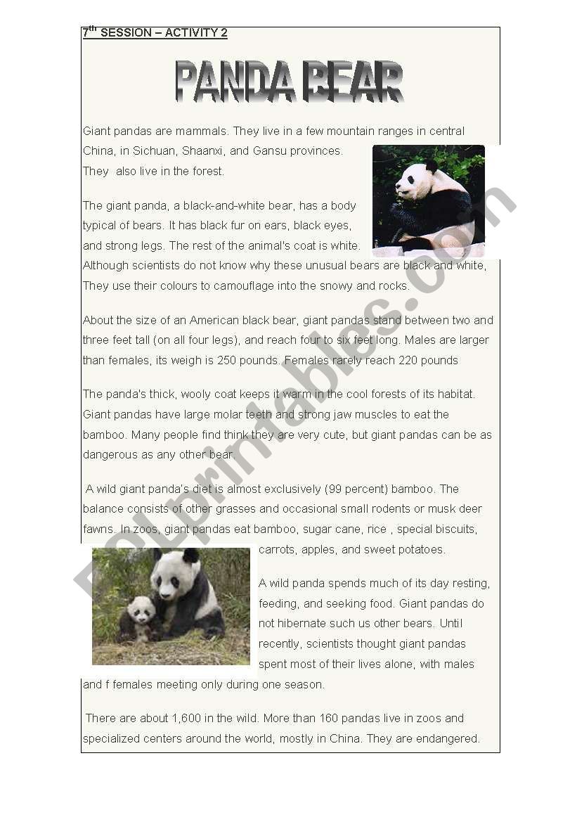 PANDA BEAR worksheet
