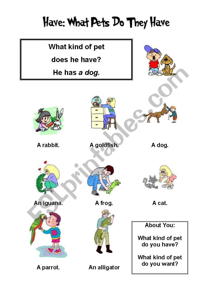 Have got-Animals worksheet
