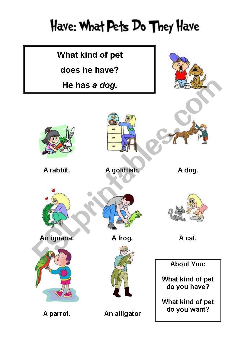 Have got-Animals worksheet