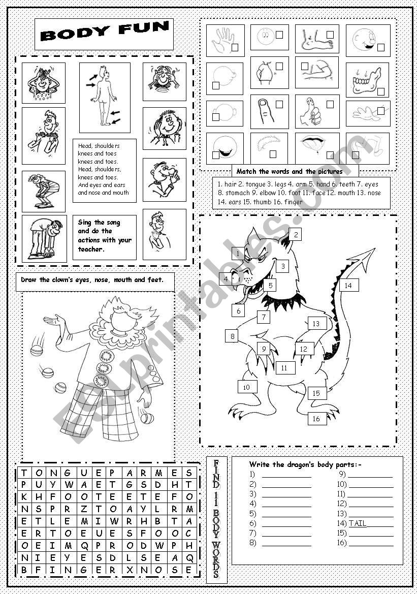 Body Fun worksheet