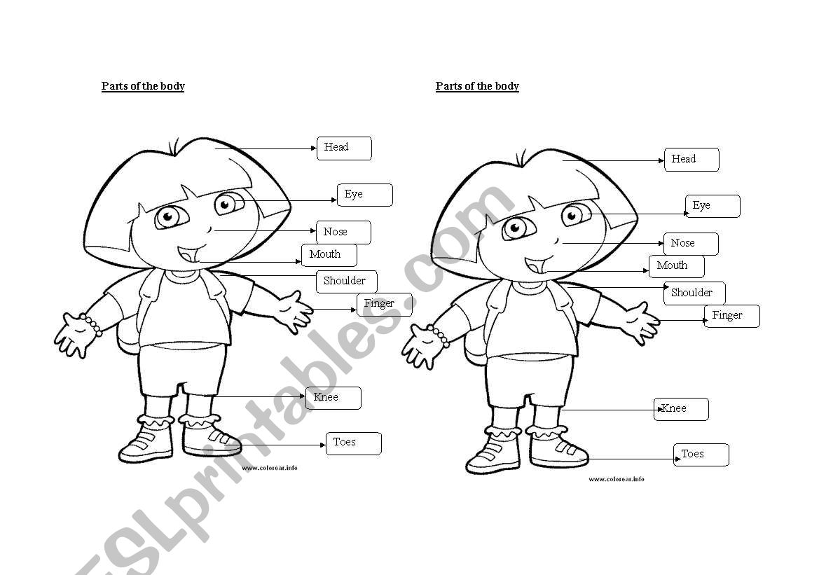 Parts Of the Body worksheet