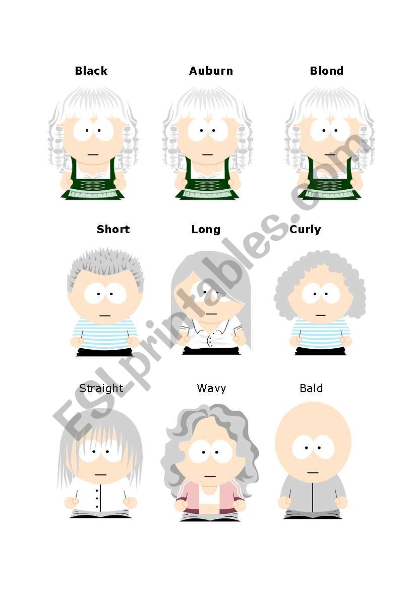 Hair types worksheet