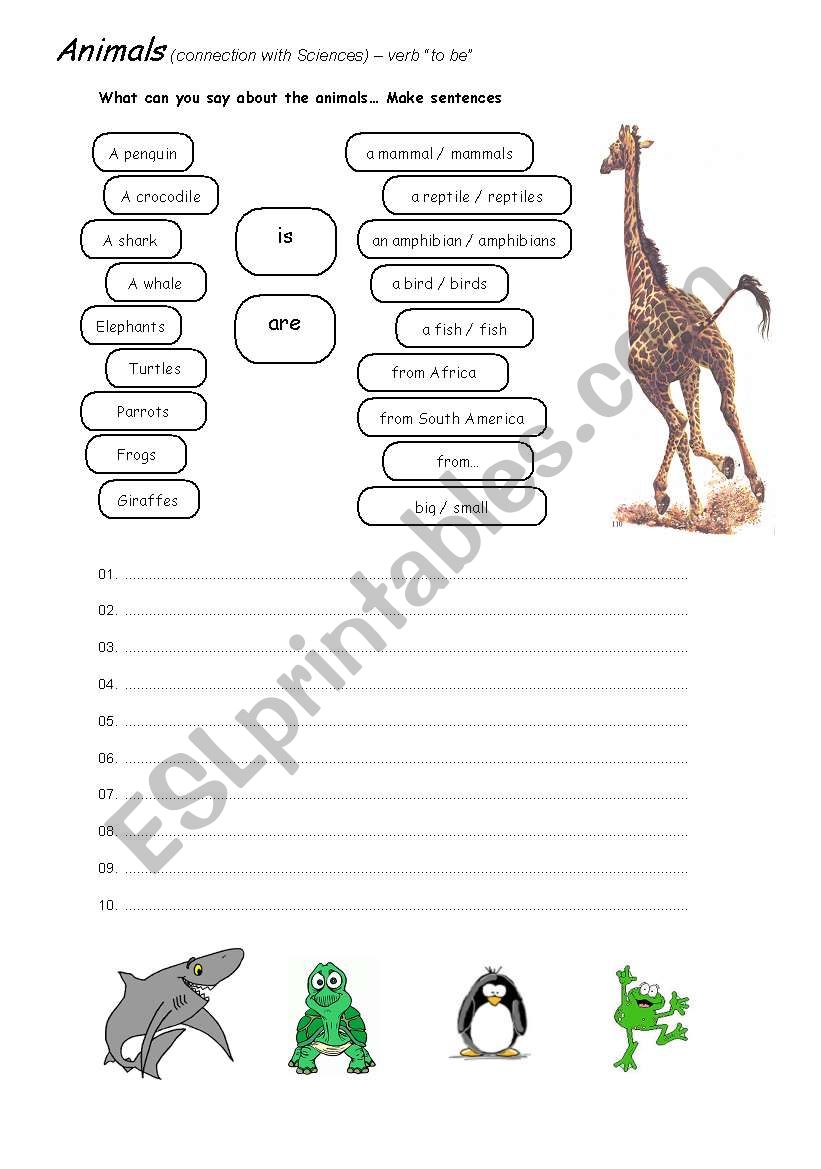 Animals worksheet