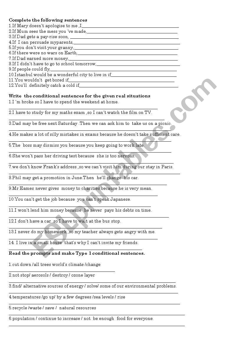 conditionals 1 & 2 worksheet