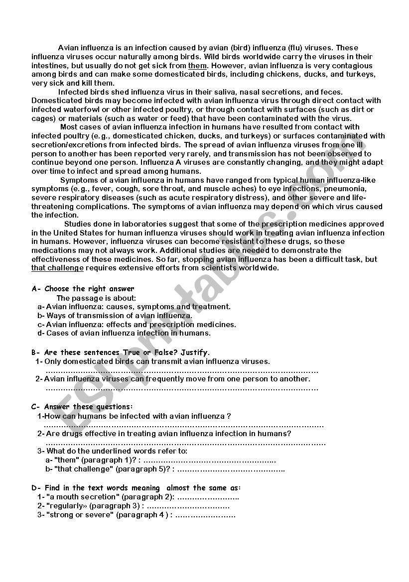 AVIAN FLU worksheet