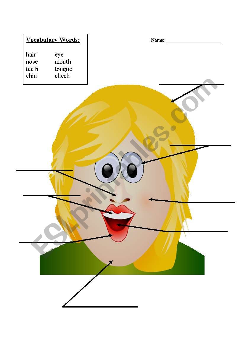Face Vocabulary Quiz worksheet