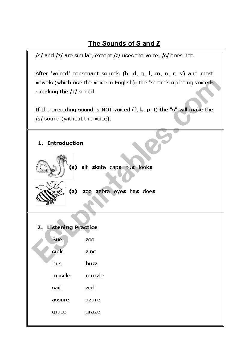 Practicing the Sounds of S and Z - WS