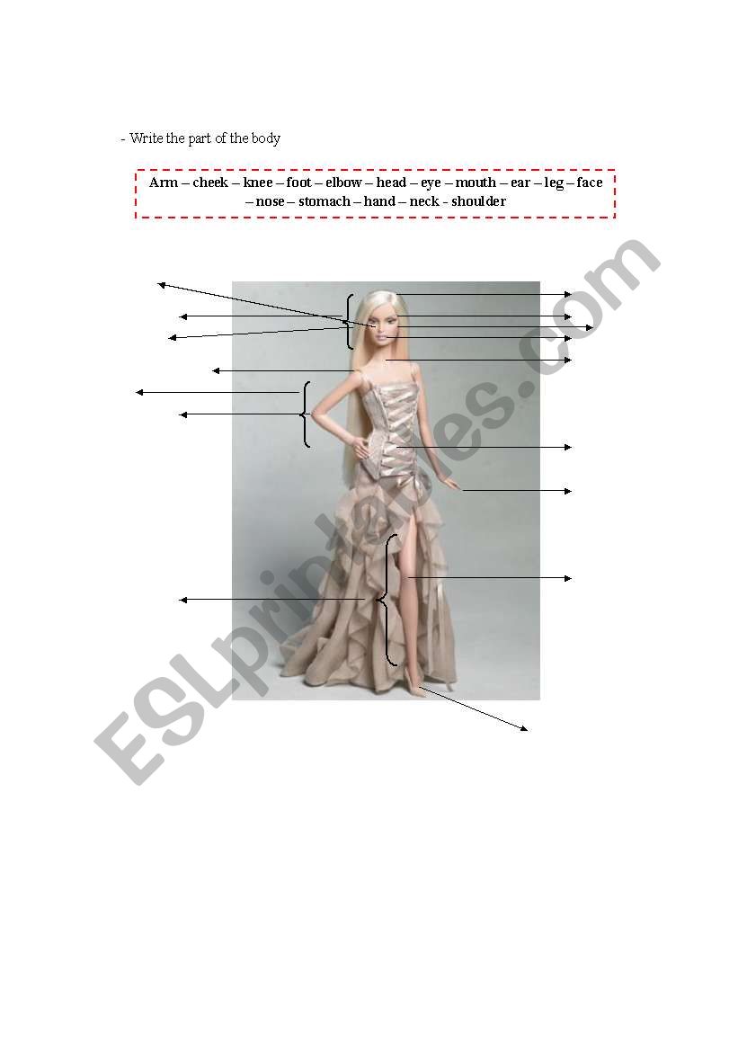 Body parts worksheet