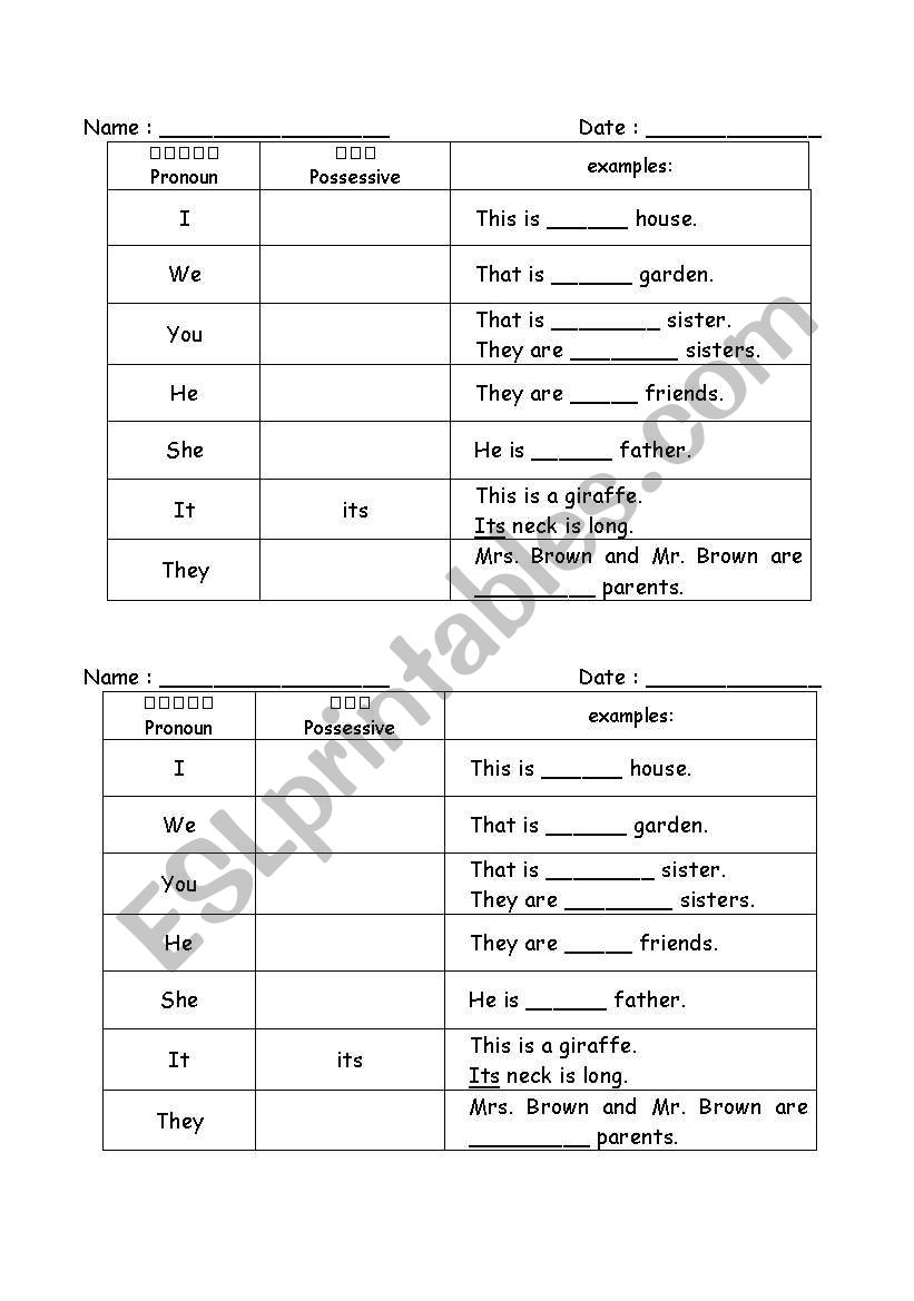 possesive pronoun worksheet