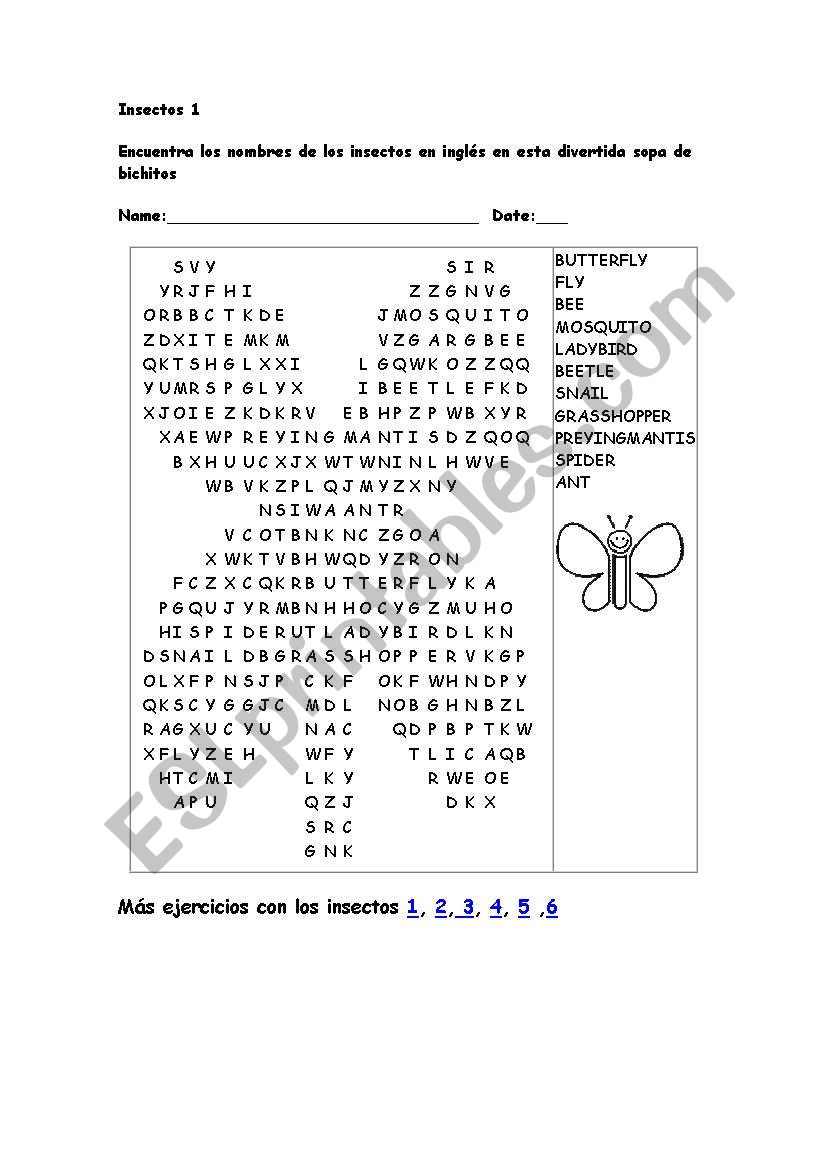 bugs worksheet