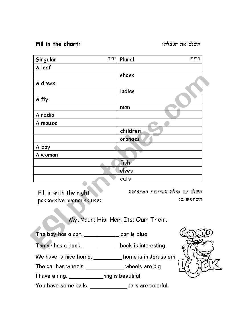 nouns worksheet