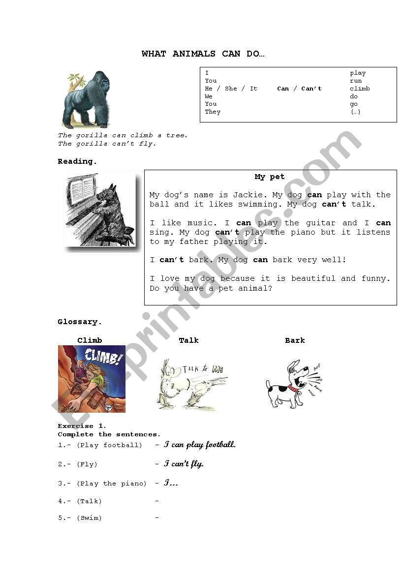 What animals can do worksheet