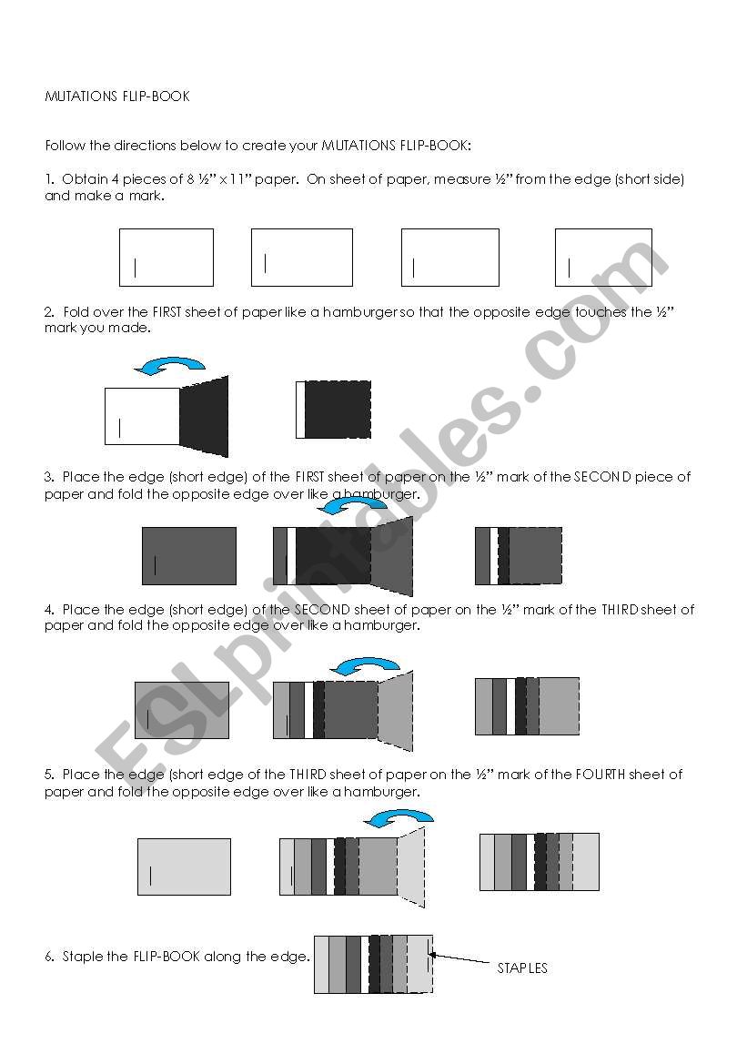 Mutations Flip Book worksheet