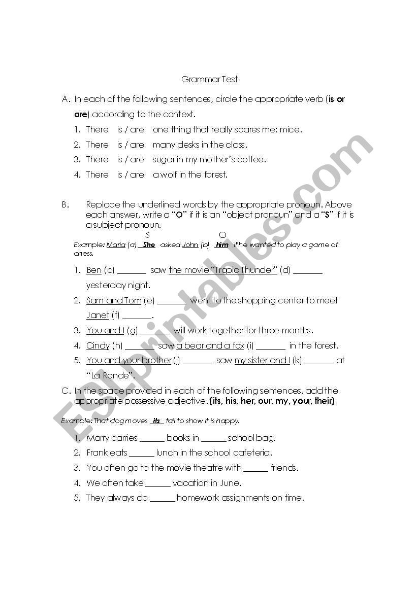 Grammar Test worksheet