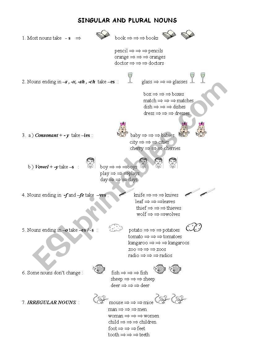 SINGULAR AND PLURAL  NOUNS worksheet