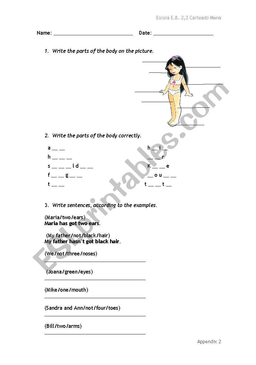 parts of the body worksheet