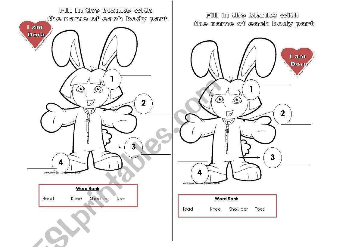 Parts of the Body   worksheet