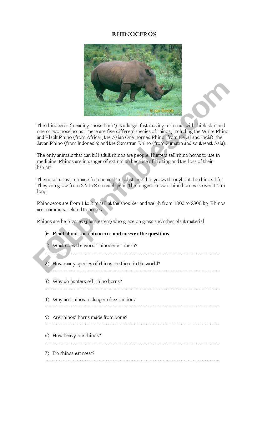 Rhinoceros worksheet