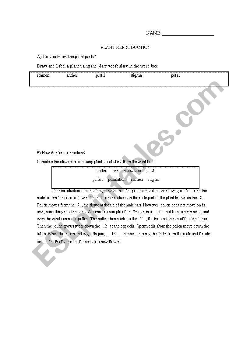 Plant Reproduction Vocabulary worksheet