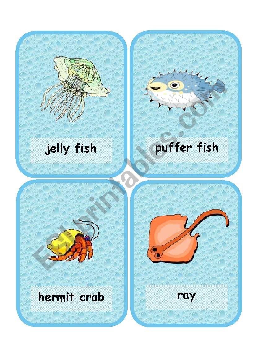 A set of 24 marine animals  worksheet