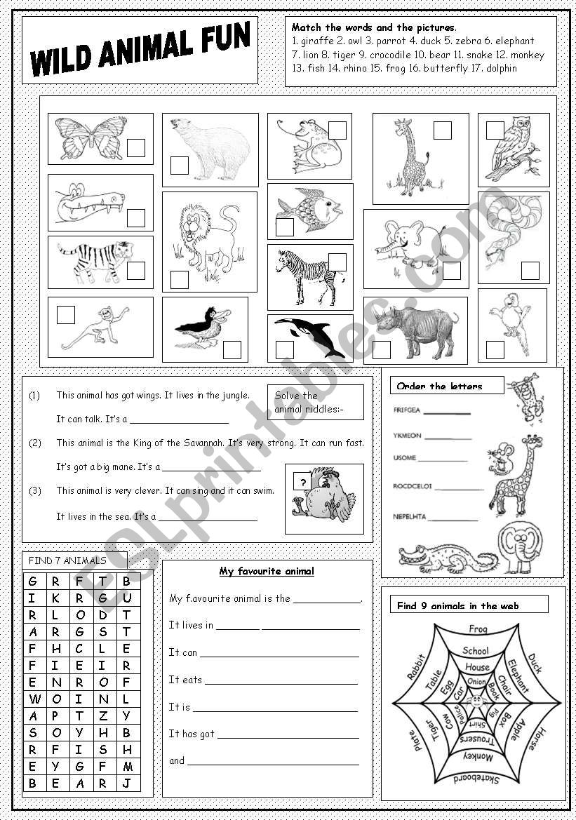 Wild Animal Fun worksheet