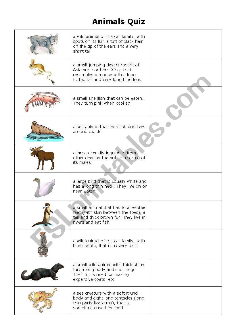 Animals quiz Page1 worksheet