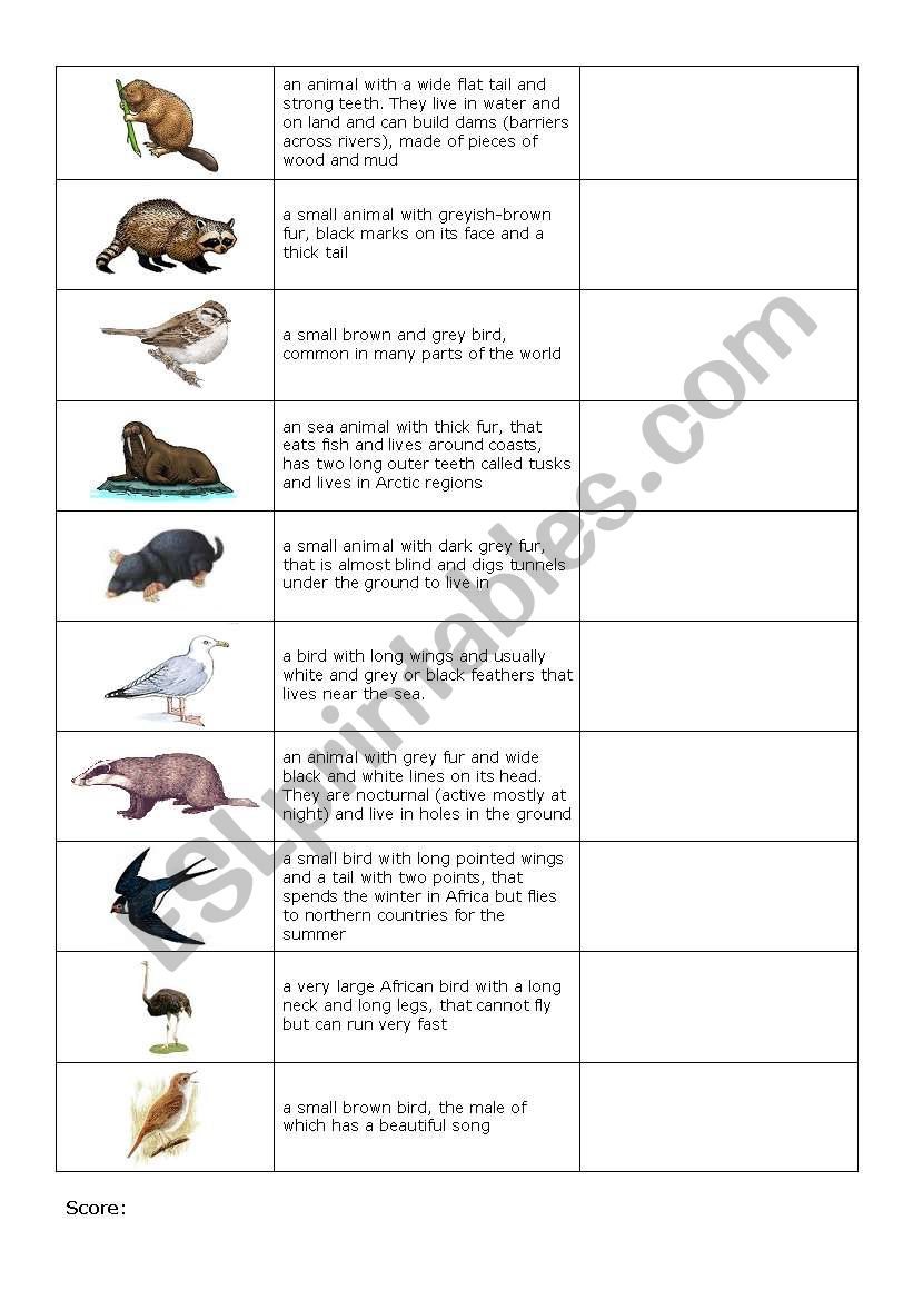 Animals quiz Page2 worksheet