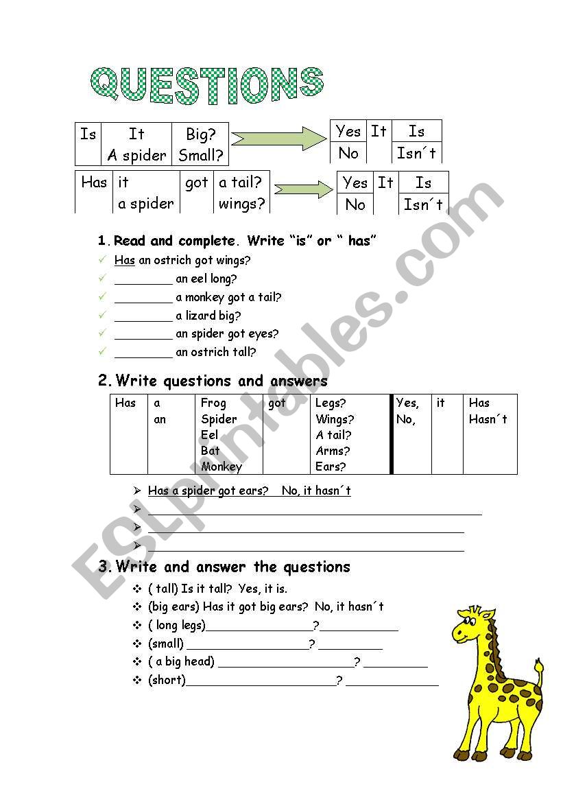 questions worksheet