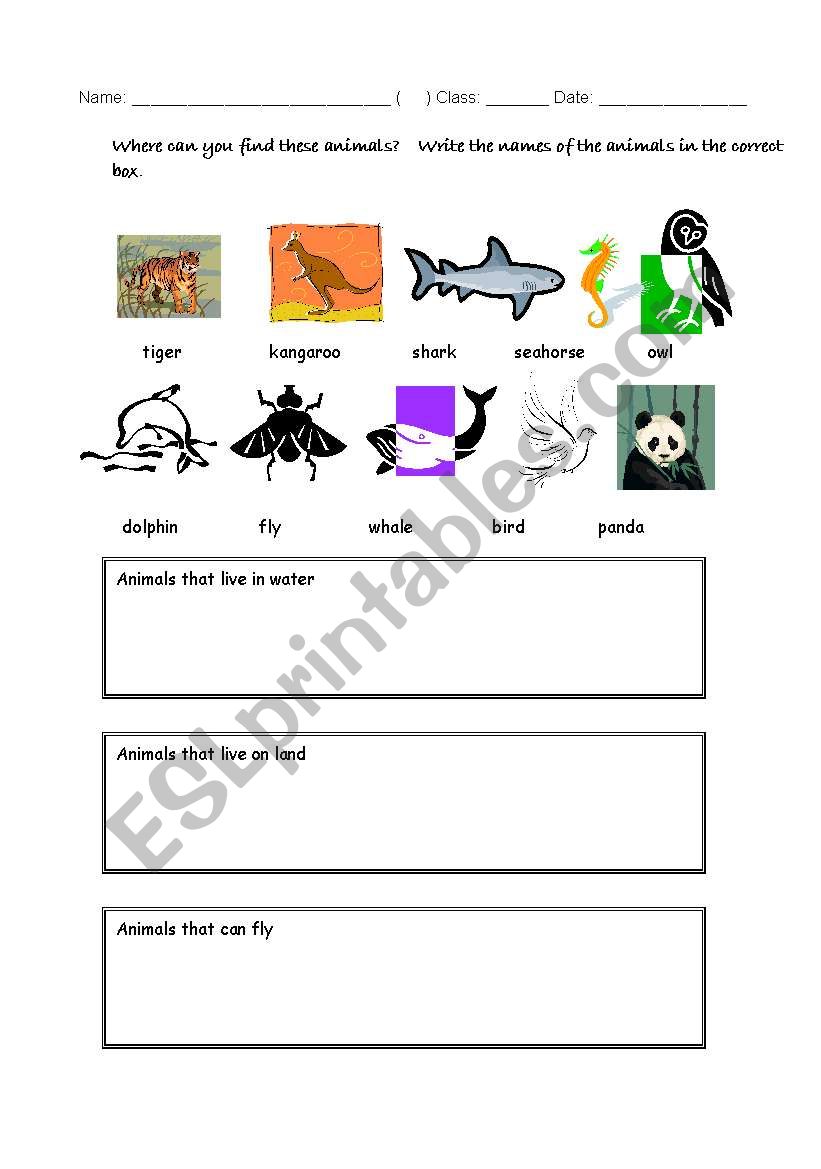 categorizing animals worksheet