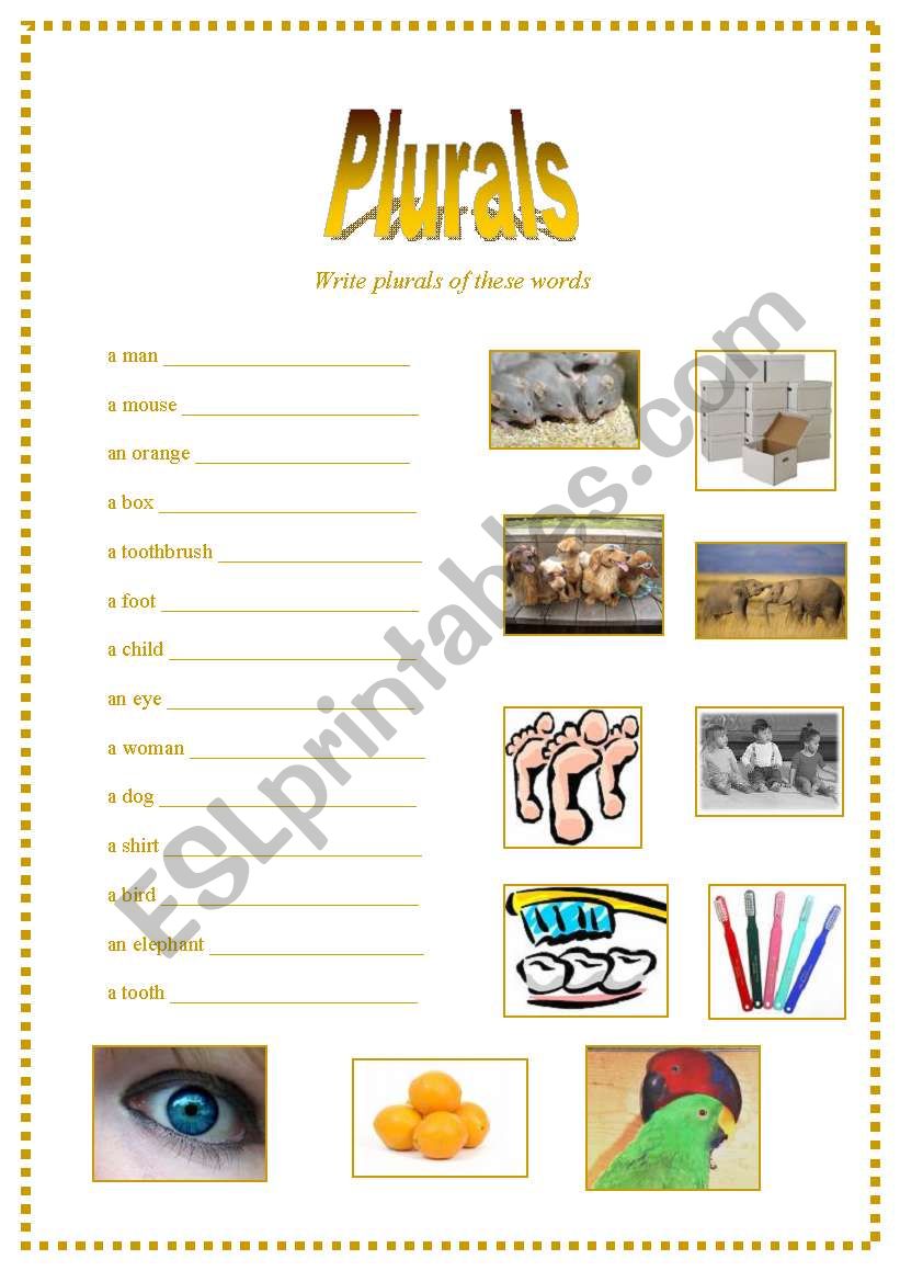 Plurals worksheet