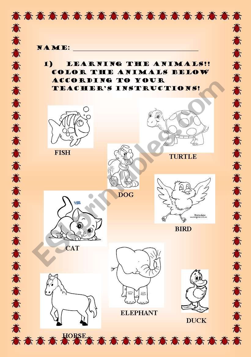 Animals worksheet