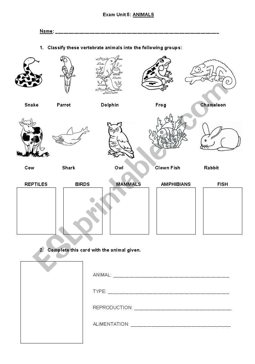 Vertebrate animals worksheet