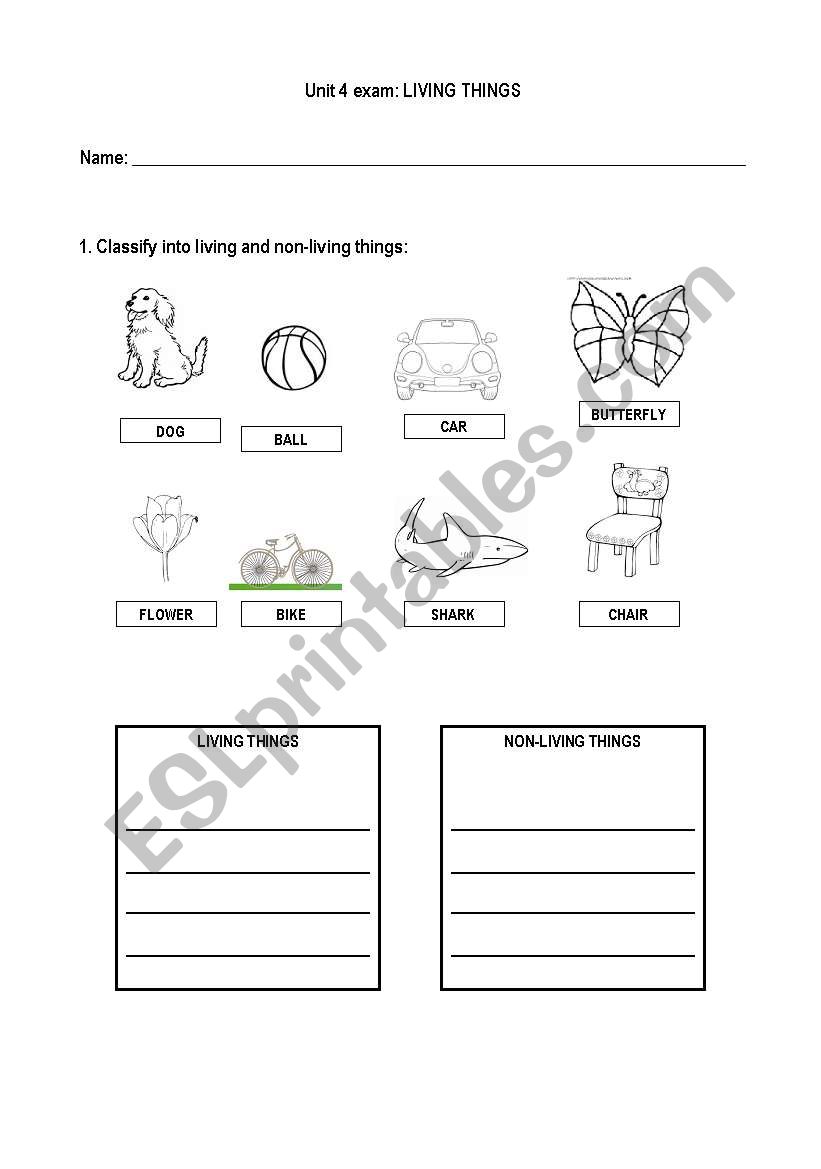 Living things worksheet