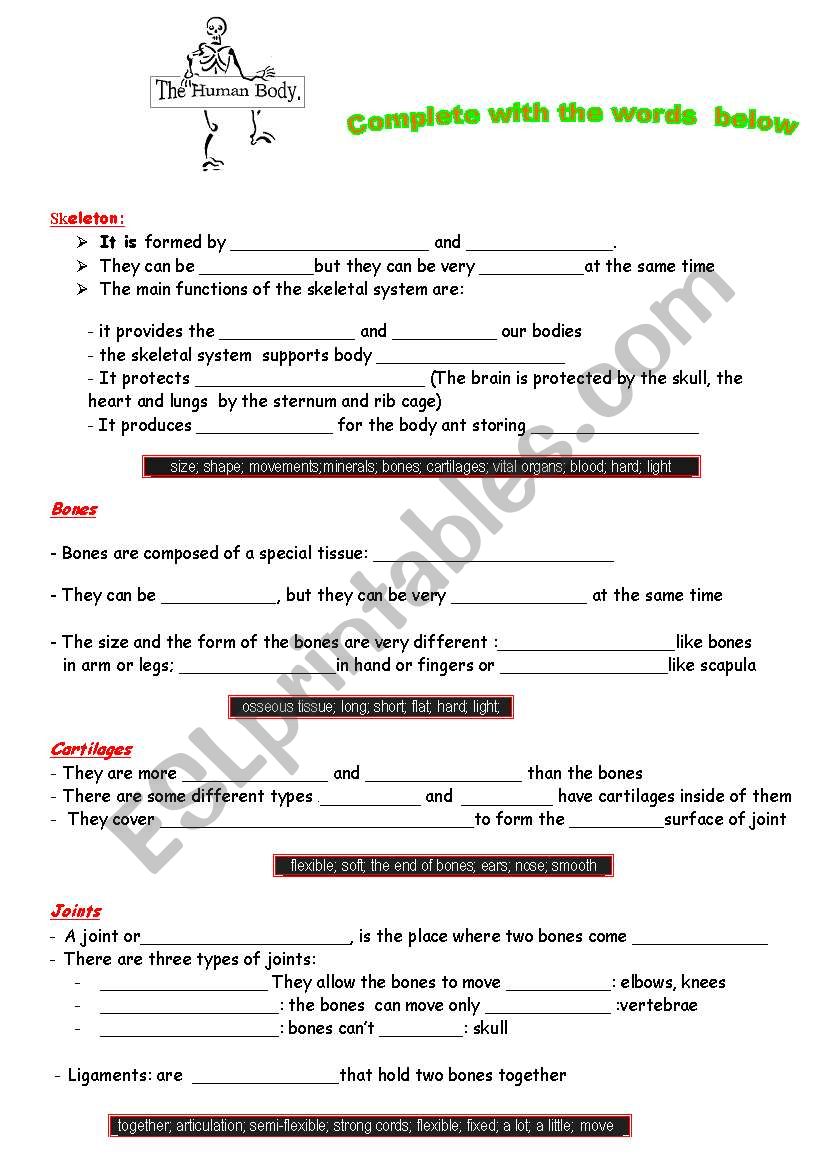 The Human body worksheet