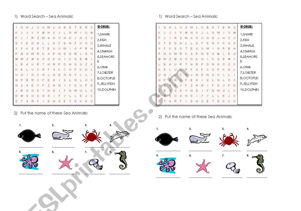 Sea Animals worksheet