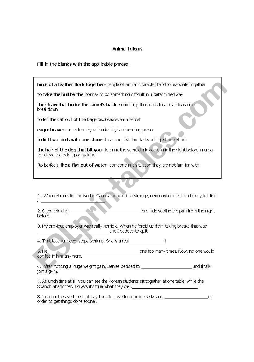 Animal Idioms worksheet