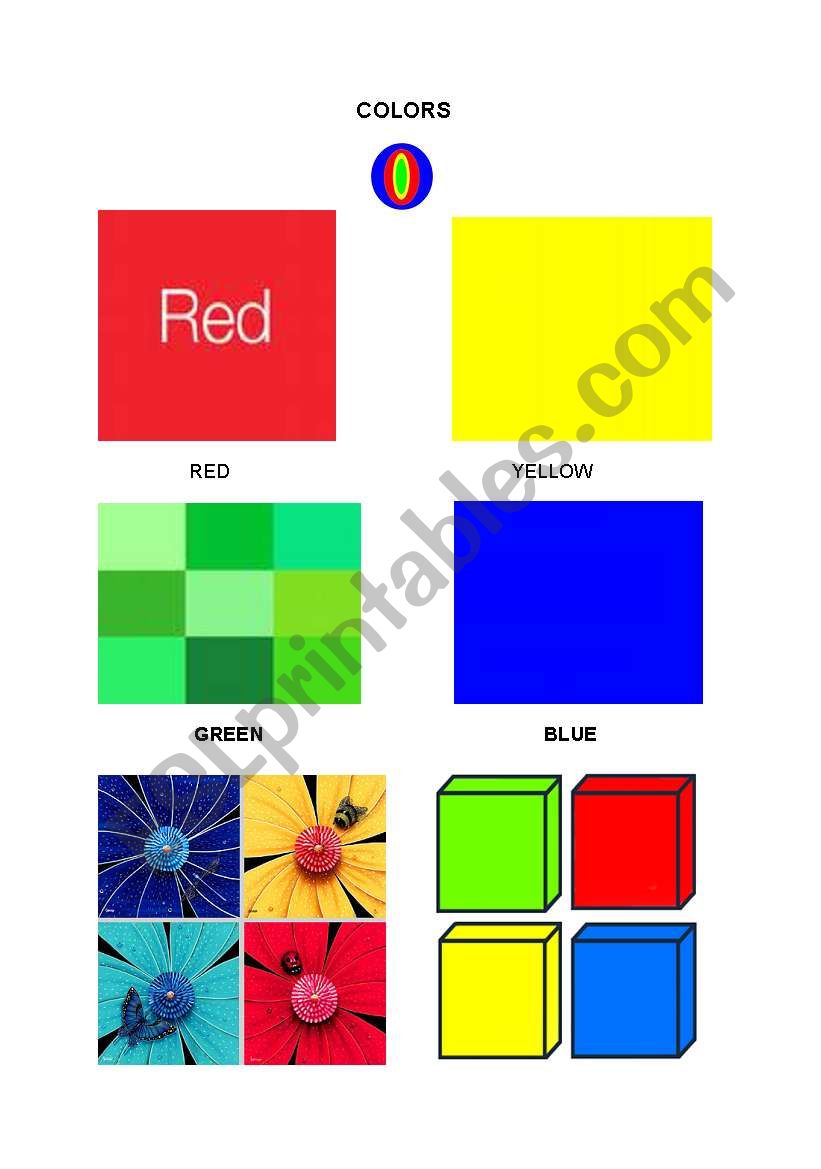 colors worksheet