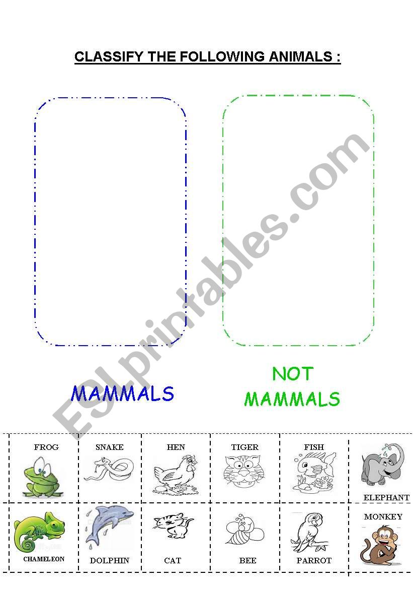 MAMMALS  worksheet