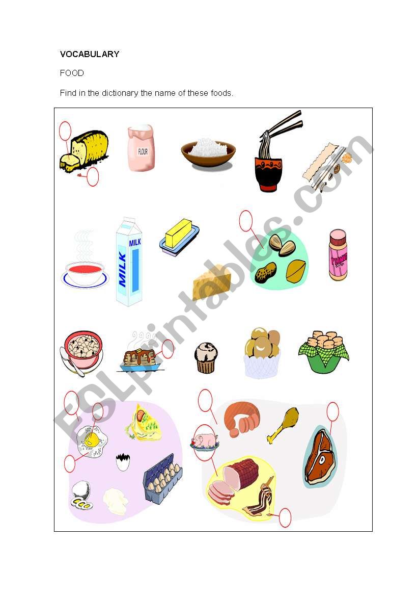 food vocabulary worksheet