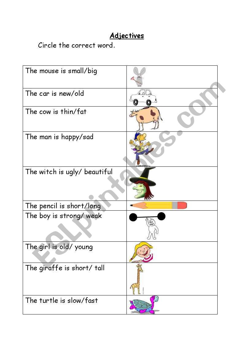 adjectives worksheet