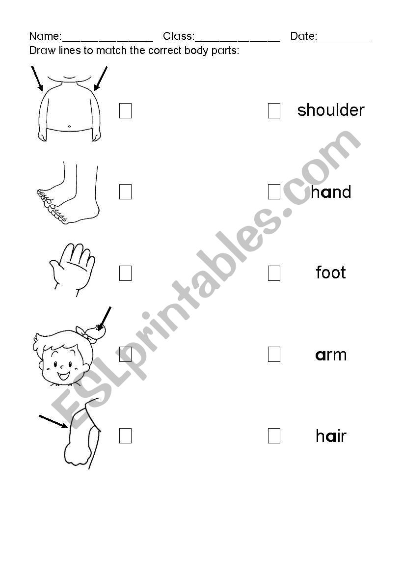 Body Part worksheet