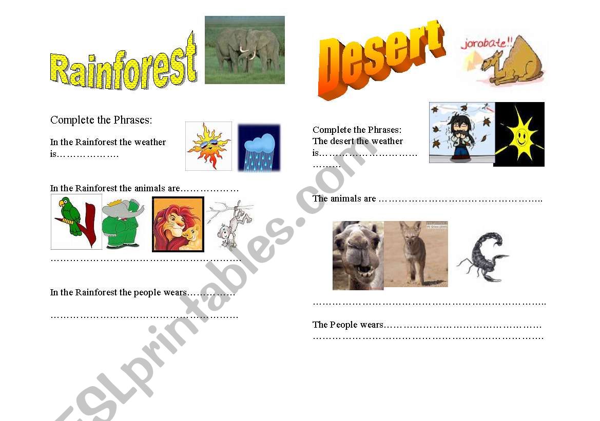 Rainforest and Desert worksheet