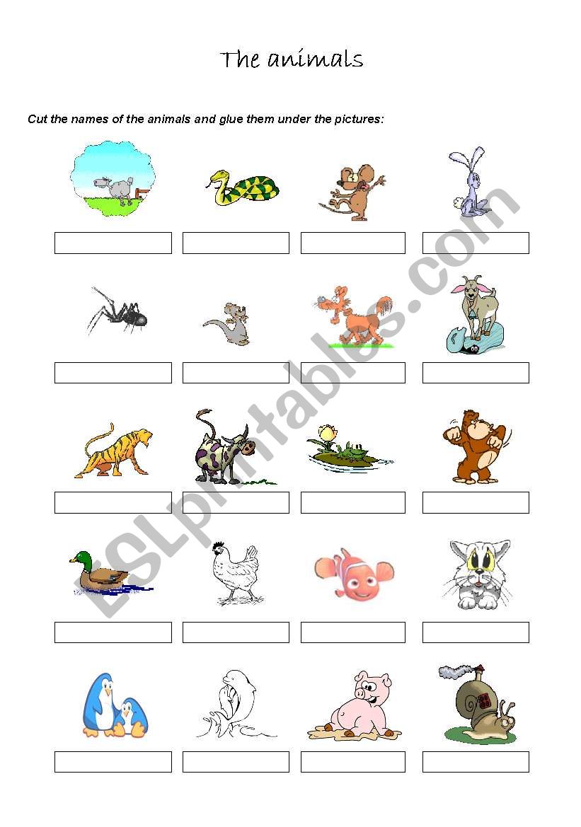 Animals 1/2 worksheet