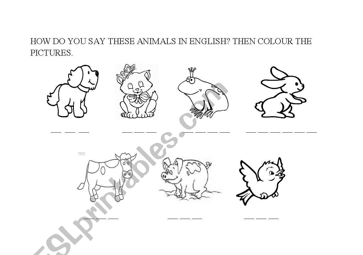 Animals worksheet