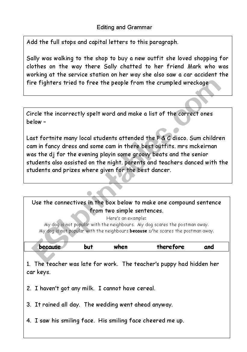 Editing Punctuation  worksheet