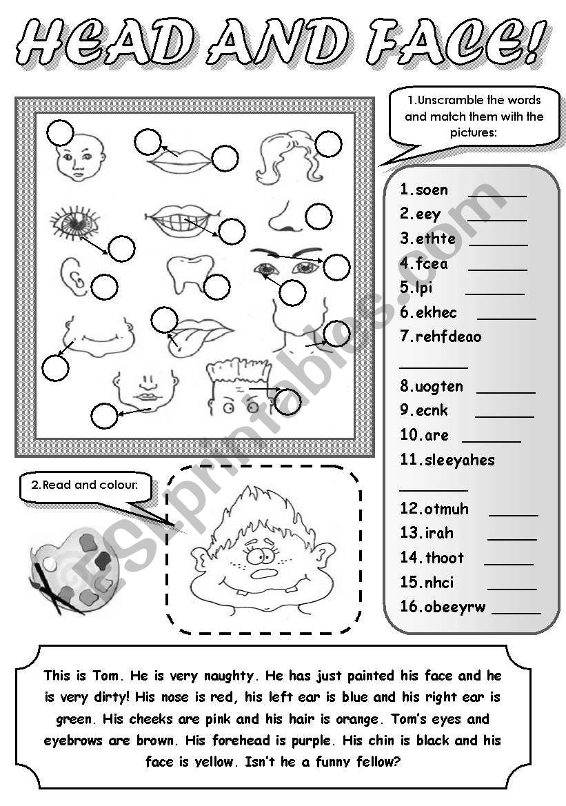 HEAD AND FACE! - PARTS OF FACE AND HEAD (unscramble the words and match them with the pictures, read and colour)