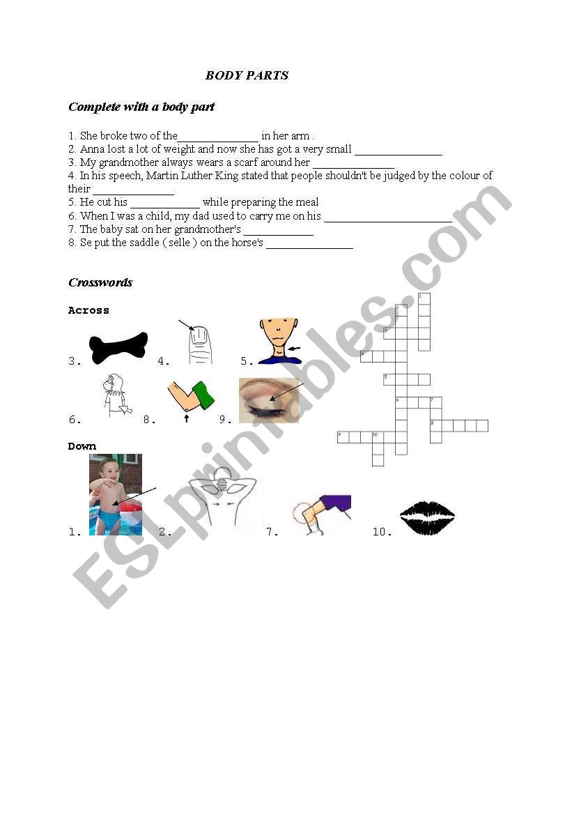 Body parts worksheet