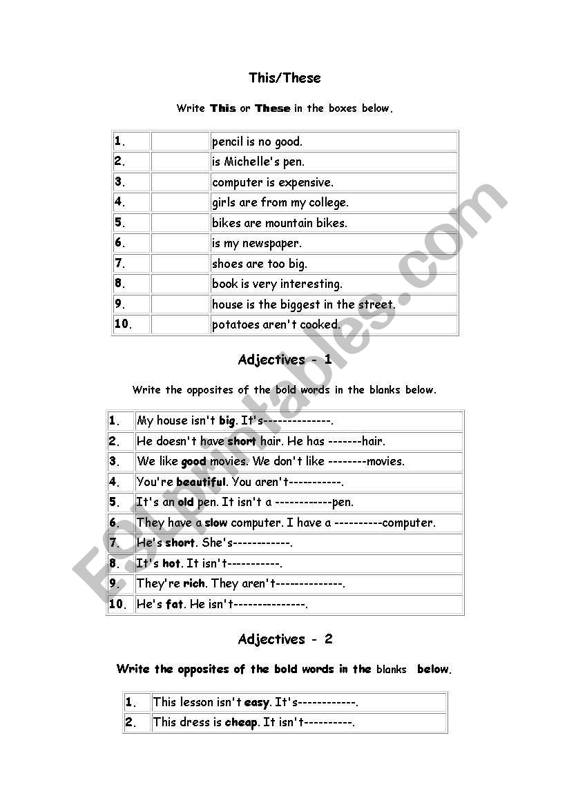 Basic grammar  worksheet