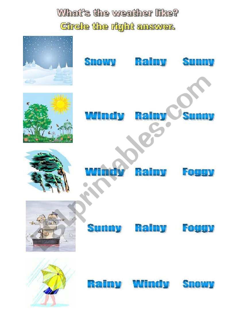 Whats the weather like? worksheet