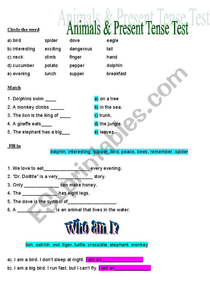 animals test worksheet